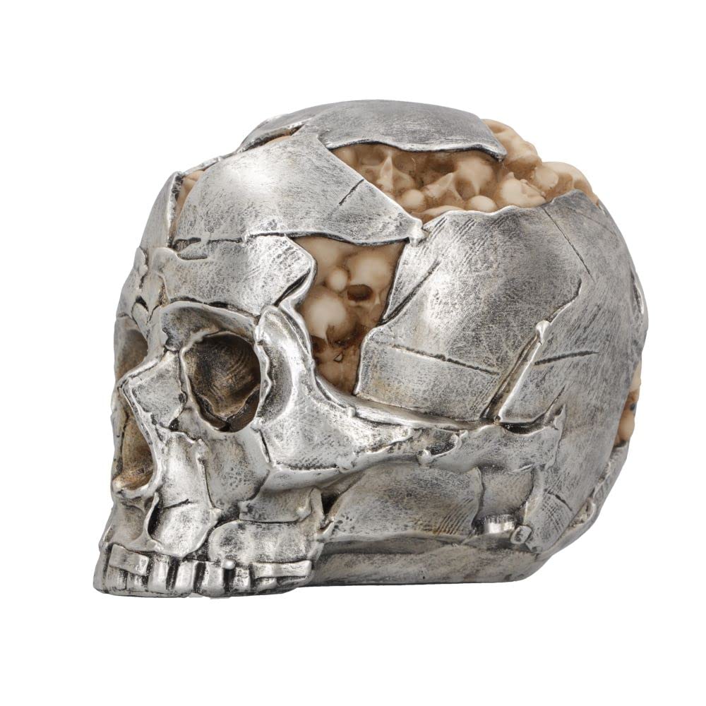 Large Alternative Fracture Skull 16cm 4