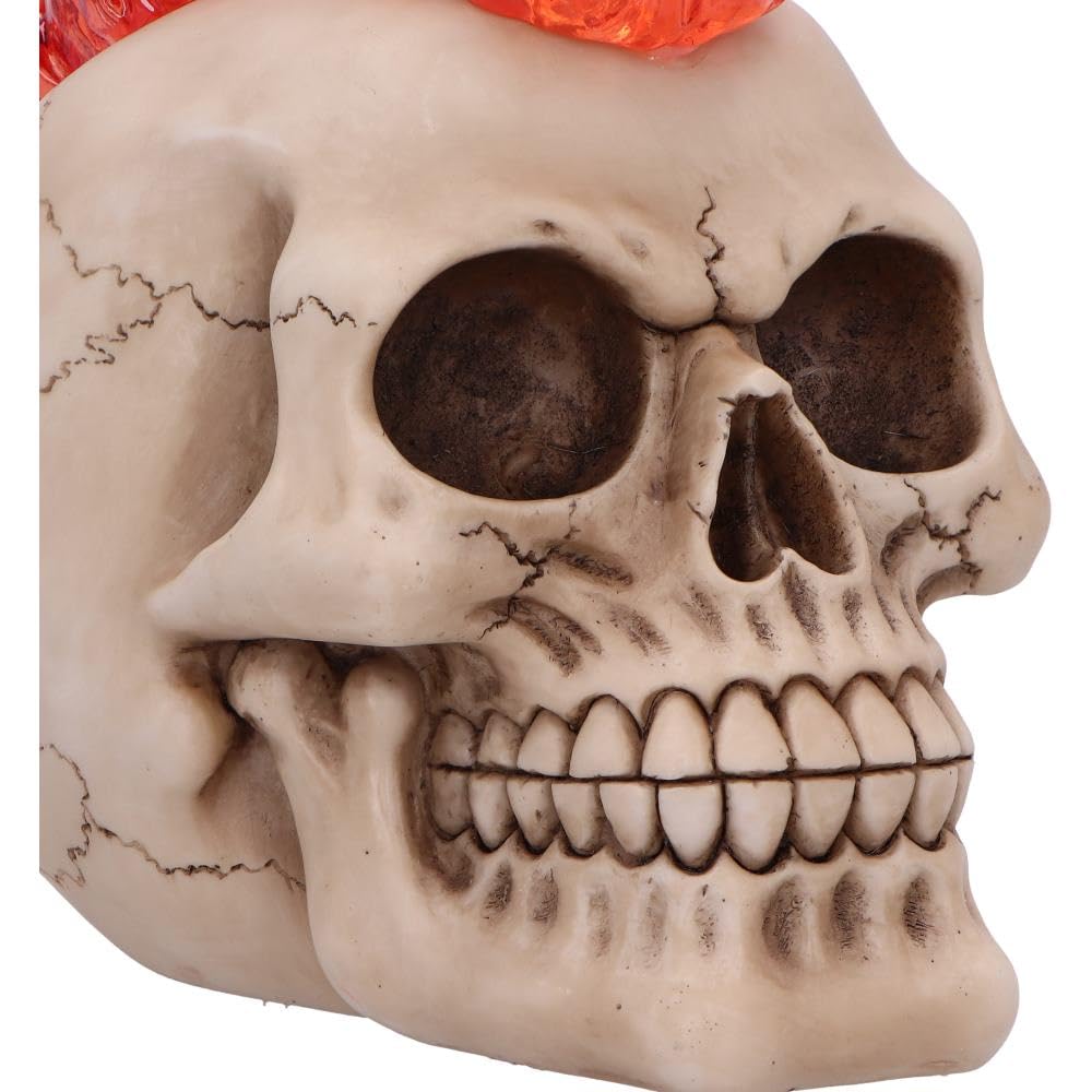 Hot-Headed Decorative Resin Skull Flame Mohawk 19cm 5