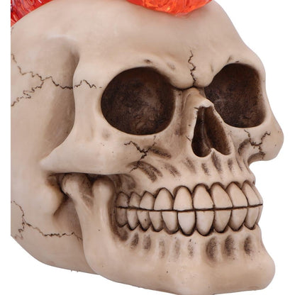 Hot-Headed Decorative Resin Skull Flame Mohawk 19cm 5