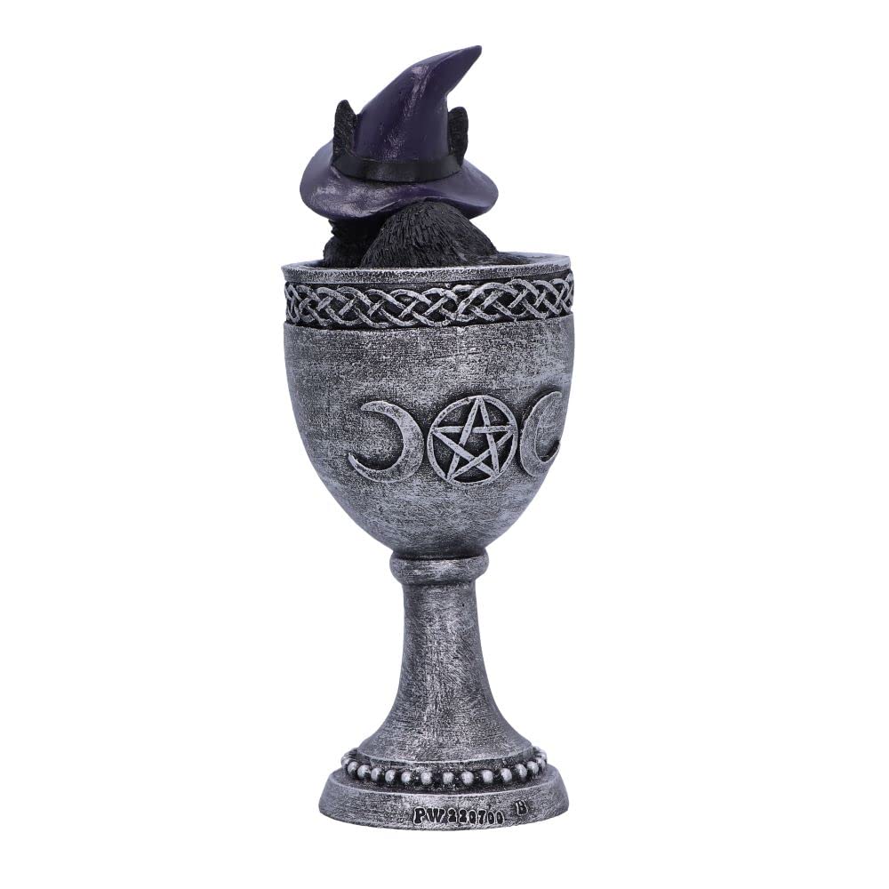 Coven Cup Black Cat Ornament 15.7cm 5