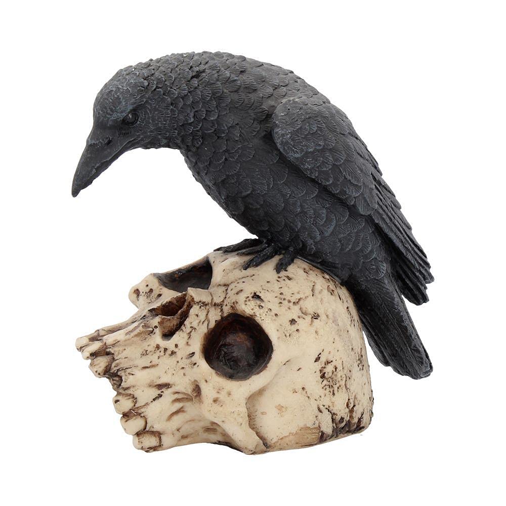 Raven Remains Figurine Crow Skull Gothic Ornament Ravens 13cm