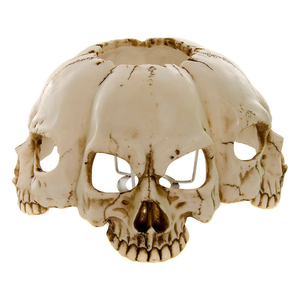 Atrocity Natural Bone Skull and Spine Lamp 37.5cm