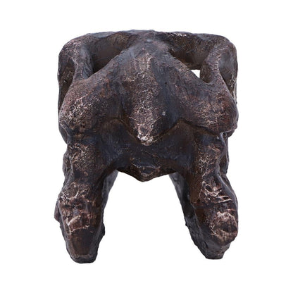 Archaeopteryx Skull Decorative Resin Replica 18cm 4