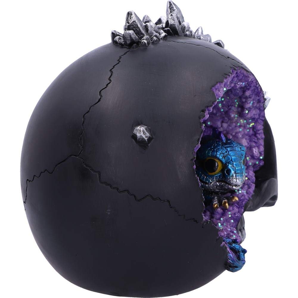 Crystal Cave Small Dragon Hiding within a Skull 16.5cm