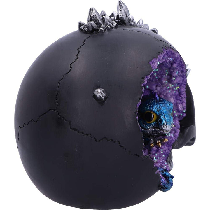 Crystal Cave Small Dragon Hiding within a Skull 16.5cm
