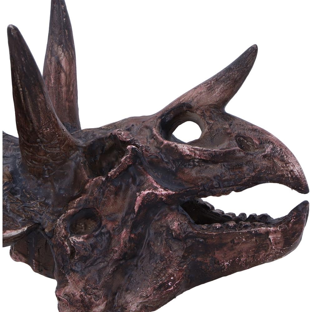 Triceratops Skull Resin Replica 14.5cm 5