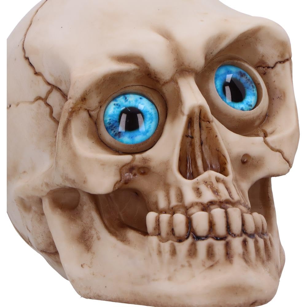 Eyes Wide Open Blue Decorative Resin Skull 12cm 5