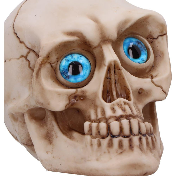 Eyes Wide Open Blue Decorative Resin Skull 12cm 5