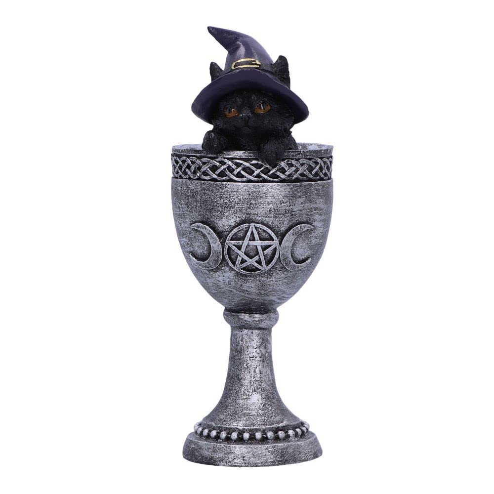 Coven Cup Black Cat Ornament 15.7cm 2