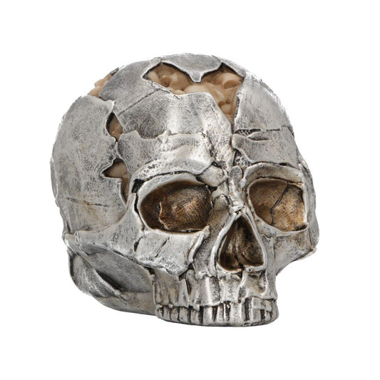 Small Alternative Fracture Skull 11cm 2