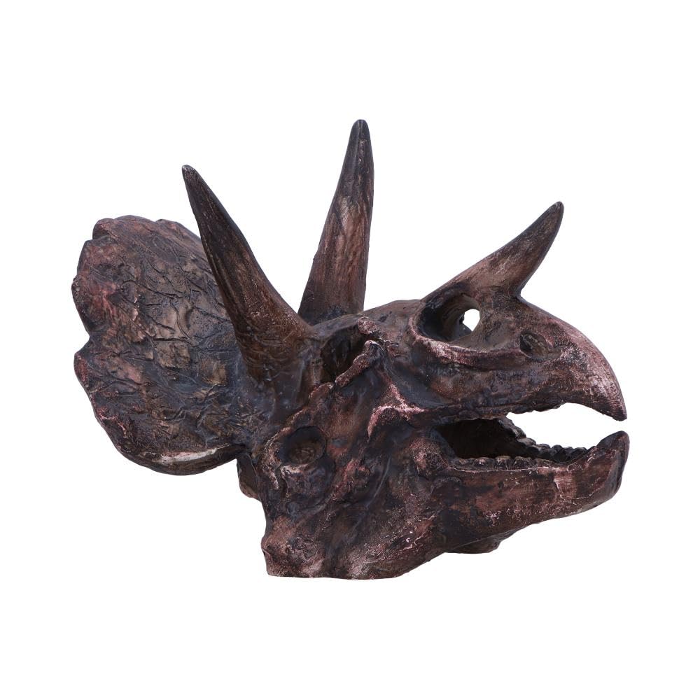 Triceratops Skull Resin Replica 14.5cm 1