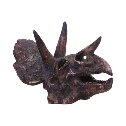 Triceratops Skull Resin Replica 14.5cm 1