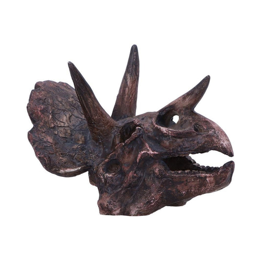 Triceratops Skull Resin Replica 14.5cm 1