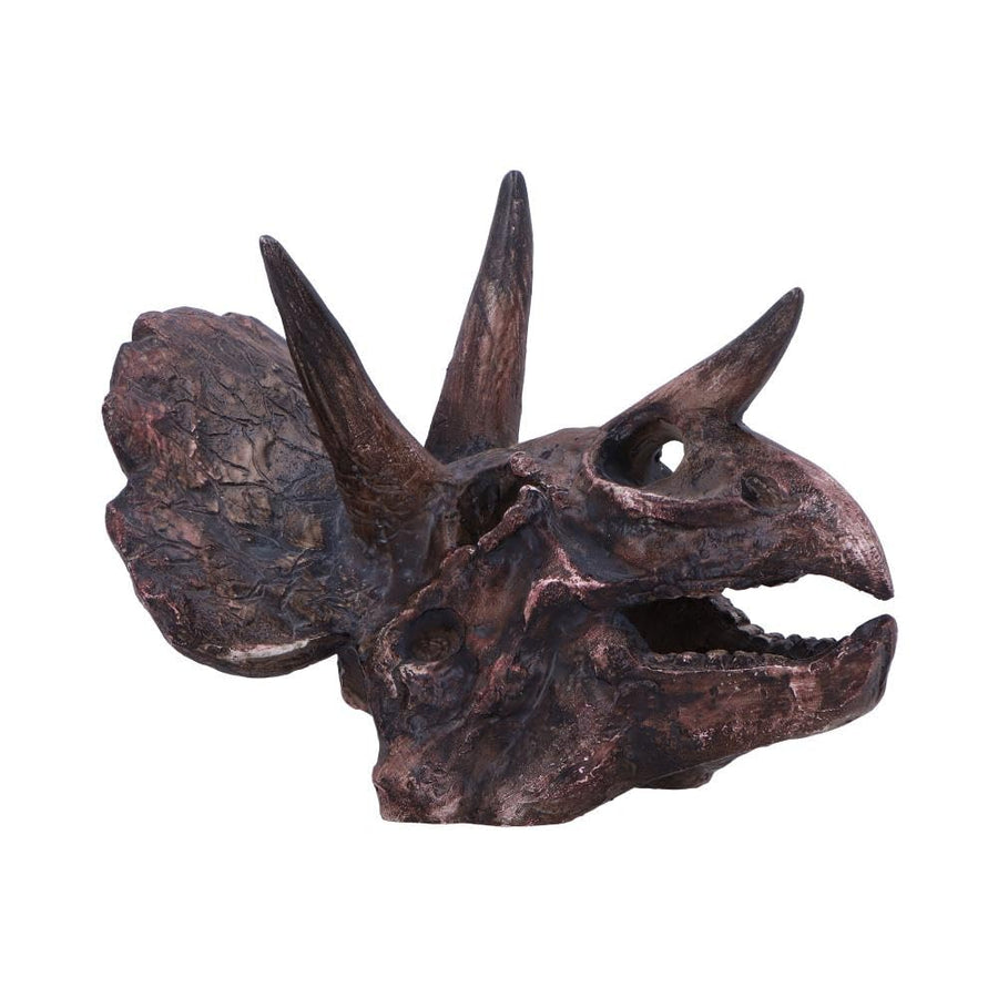 Triceratops Skull Resin Replica 14.5cm 1