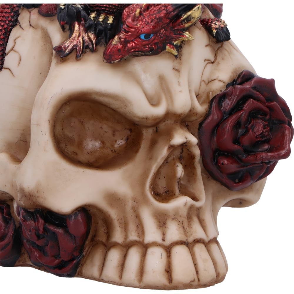 Rose Flame Decorative Skull With Sleeping Dragon 14.5cm 5