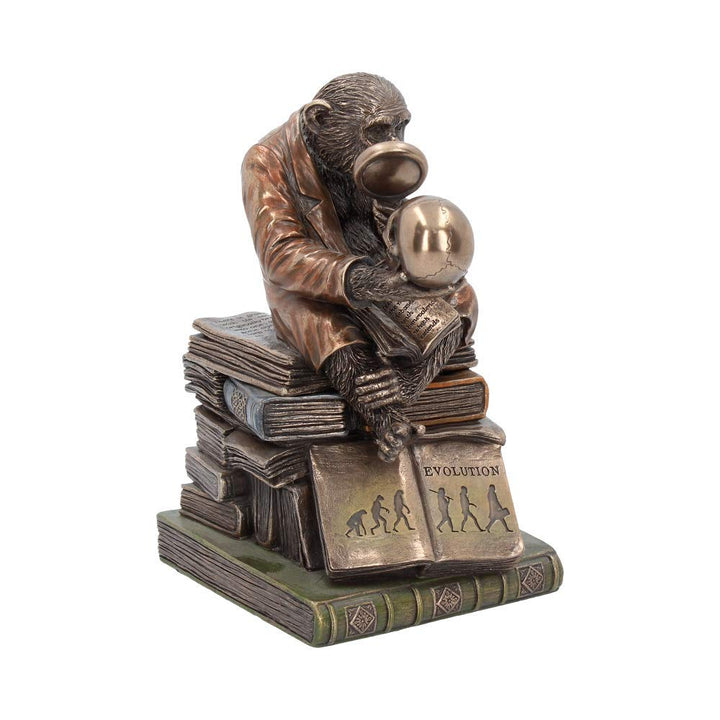 Darwinism of Evolutionary Theory Figurine Charles Darwin Chimpanzee Ornament 17.5cm