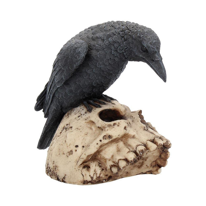 Raven Remains Figurine Crow Skull Gothic Ornament Ravens 13cm