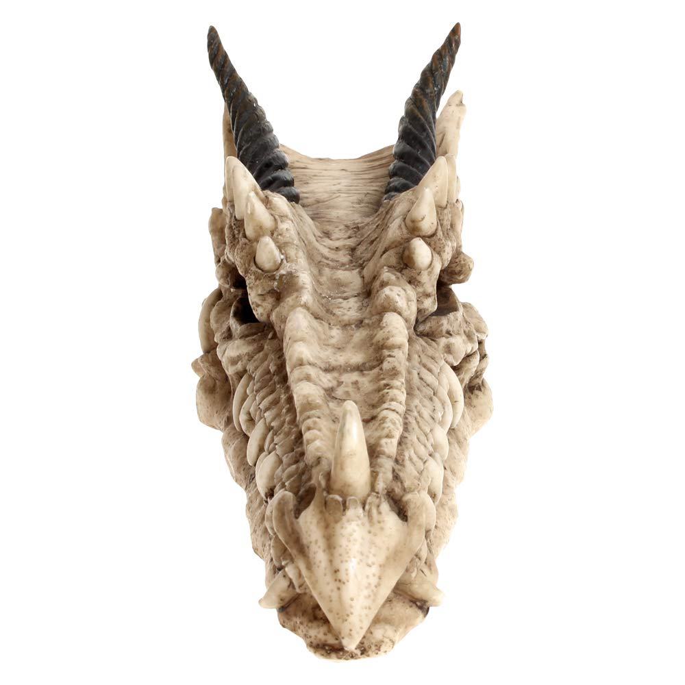 Draco Dragon Skull Incense Holder 24cm 3