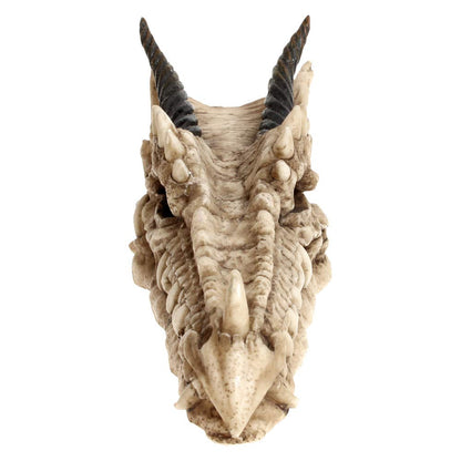 Draco Dragon Skull Incense Holder 24cm 3