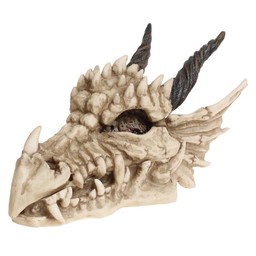 Fantasy Gothic Dragon Skull Trinket Box 20cm