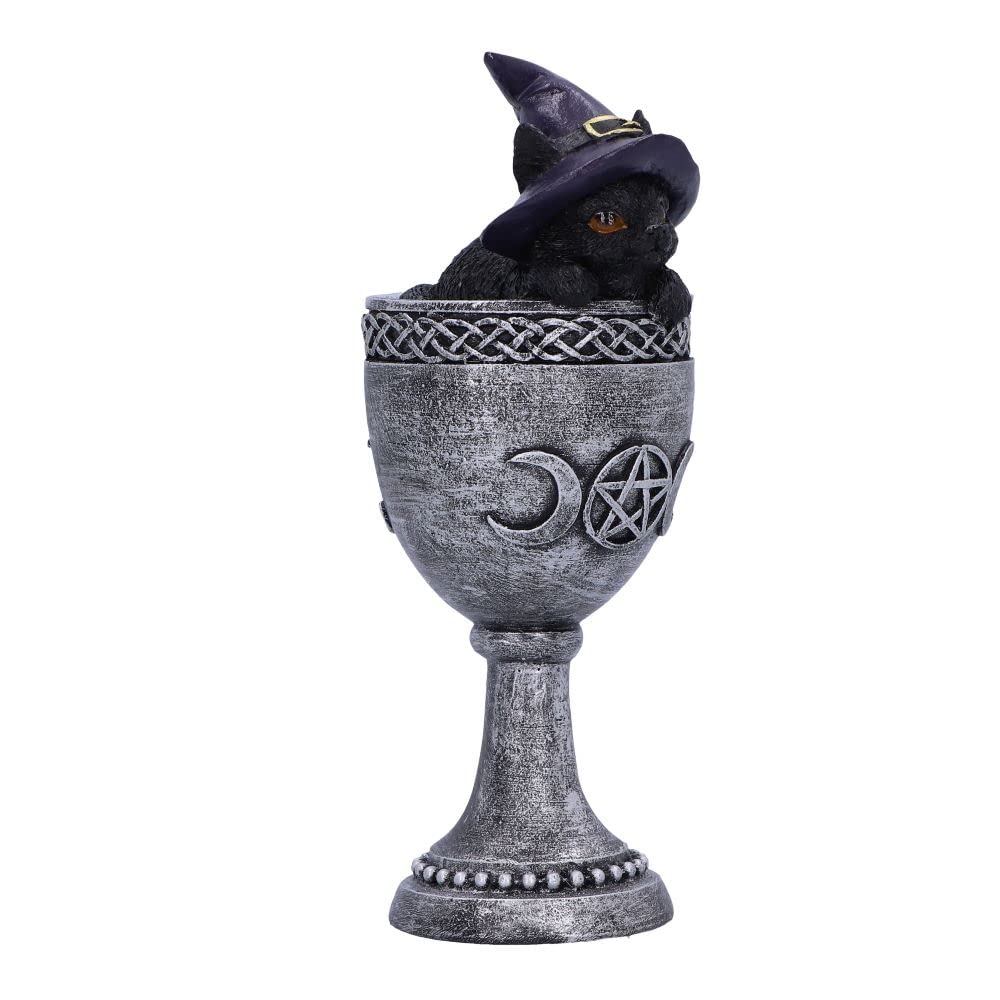 Coven Cup Black Cat Ornament 15.7cm 6