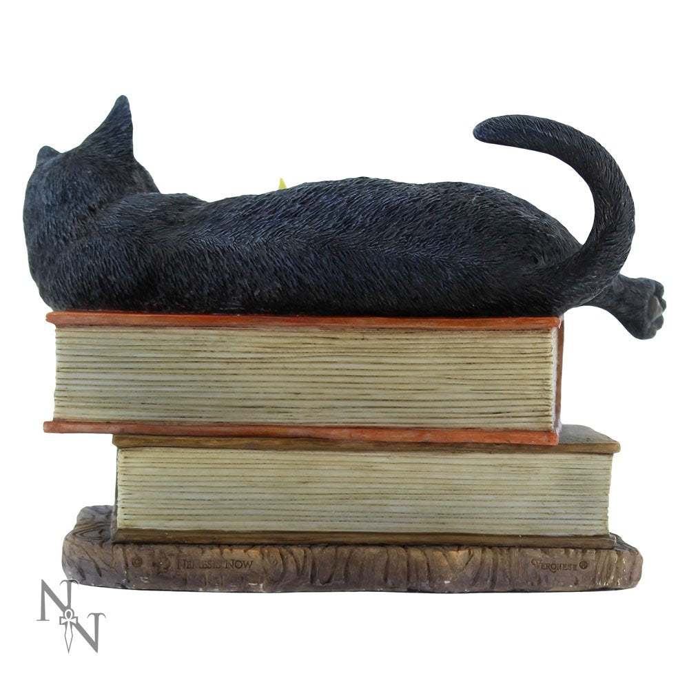 Witching Hour Cat Figurine by Lisa Parker Black Candle Ornament 20.5cm