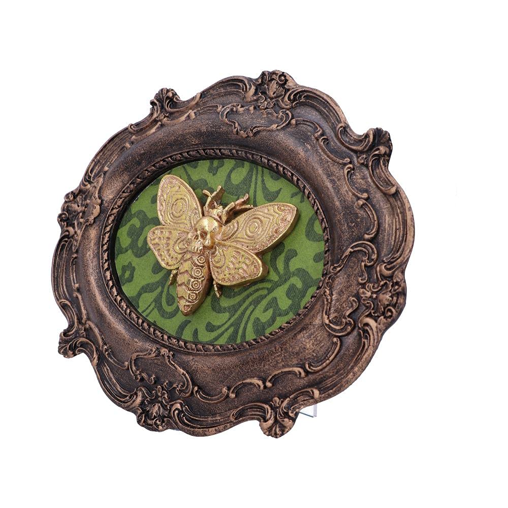 Moth Macabre Baroque Framed Deaths Head Wall Plaque 22.3cm