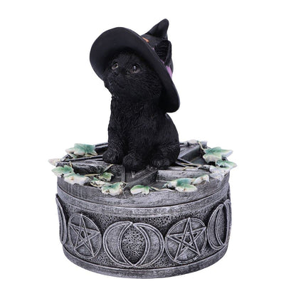 Ivy Familiar Box 15cm 3