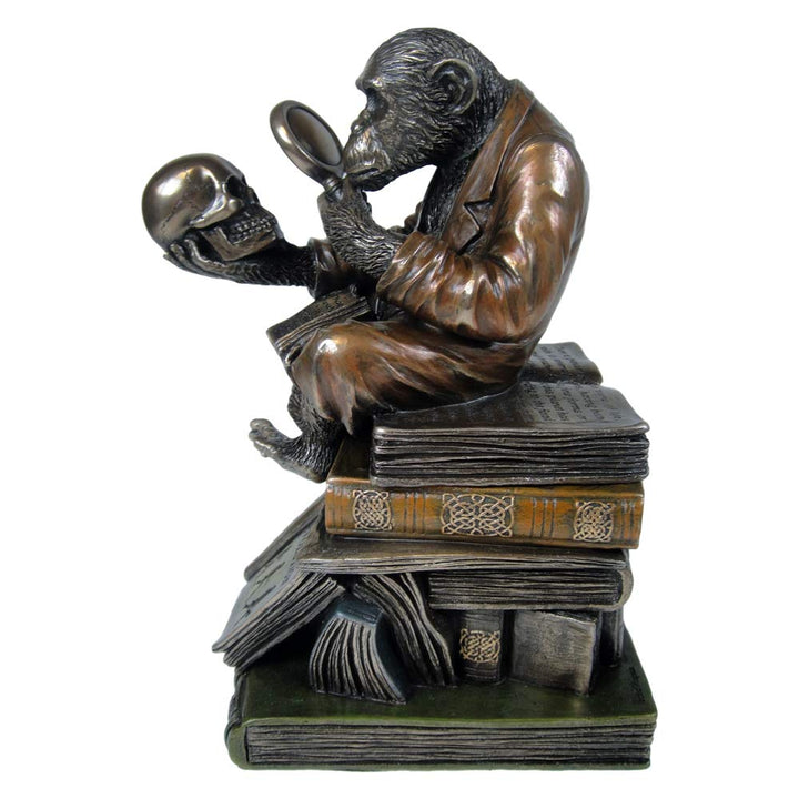 Darwinism of Evolutionary Theory Figurine Charles Darwin Chimpanzee Ornament 17.5cm