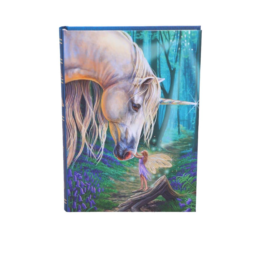 Lisa Parker Fairy Whispers Journal 17cm 2