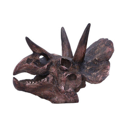 Triceratops Skull Resin Replica 14.5cm 3