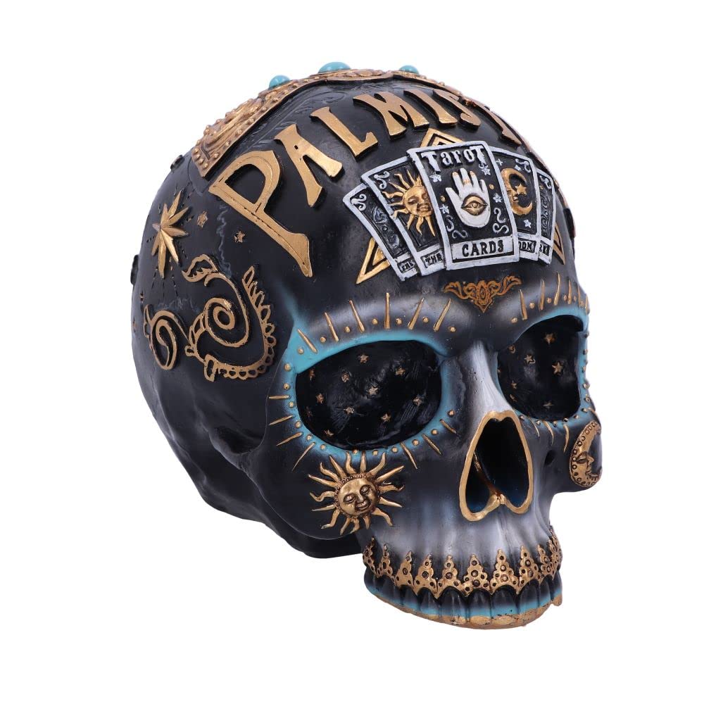 Destiny Palmistry Skull 18cm