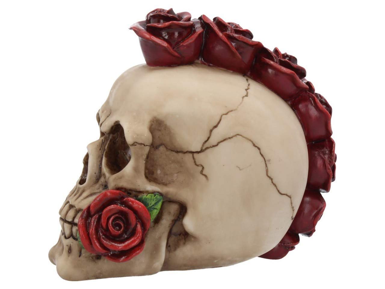 Rosehawk Skull 16cm 4