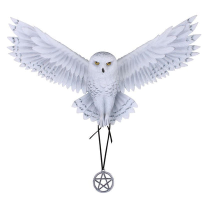 Awaken your Magic Owl Pentagram Wall Plaque 45cm 2