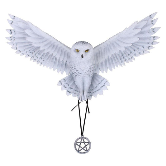 Awaken your Magic Owl Pentagram Wall Plaque 45cm 2
