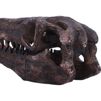 Archaeopteryx Skull Decorative Resin Replica 18cm 6