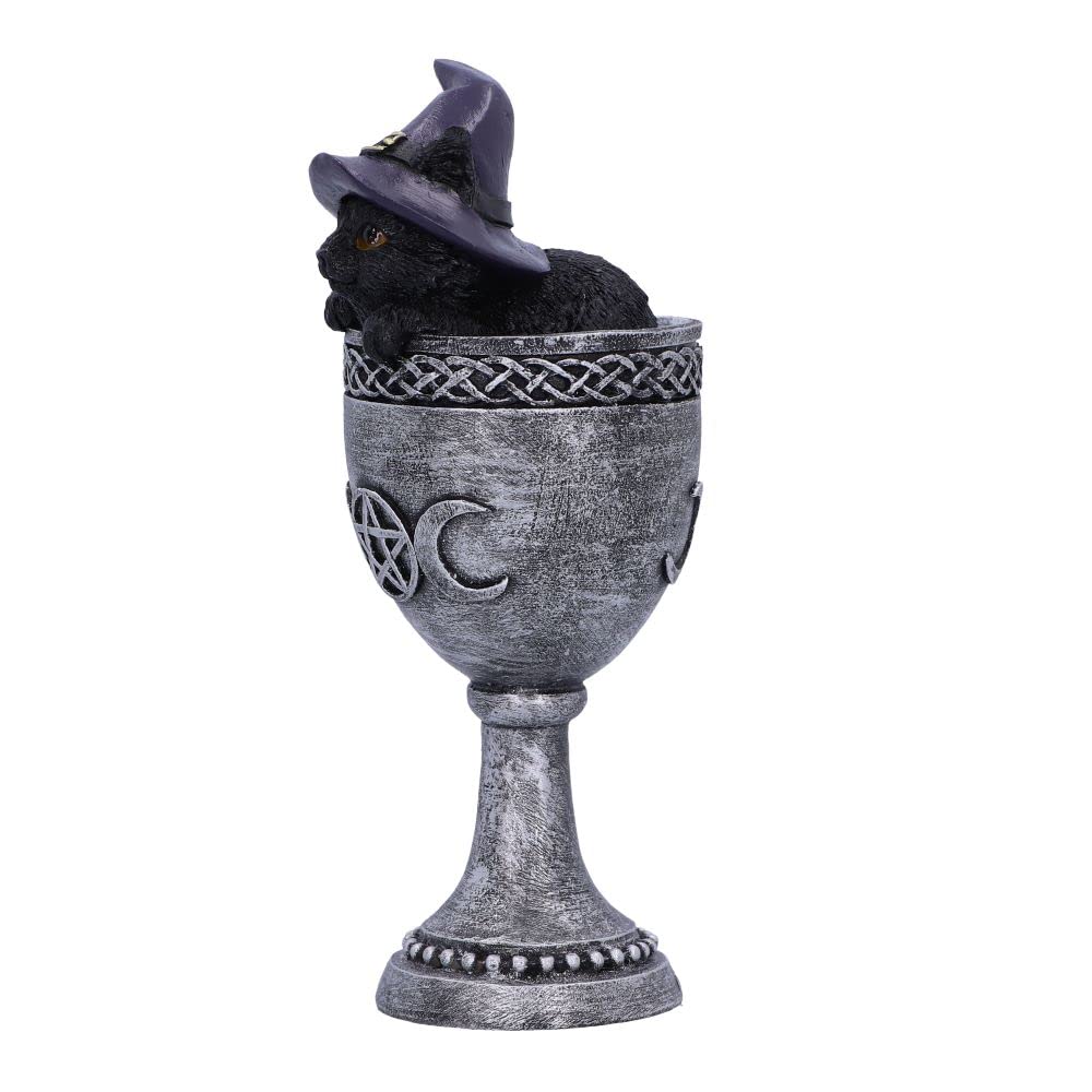 Coven Cup Black Cat Ornament 15.7cm