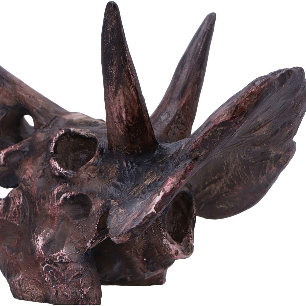 Triceratops Skull Resin Replica 14.5cm 6
