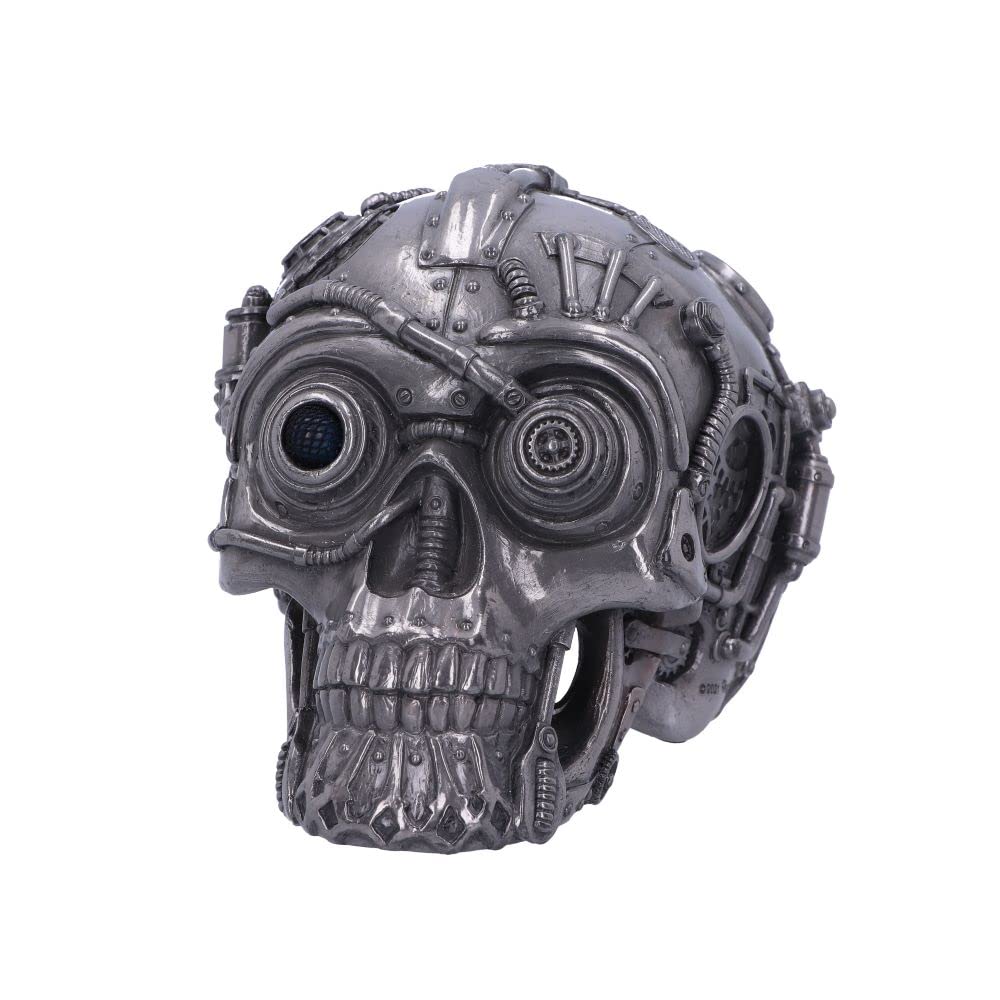 Cybertron Silver Skull 16.5cm 3