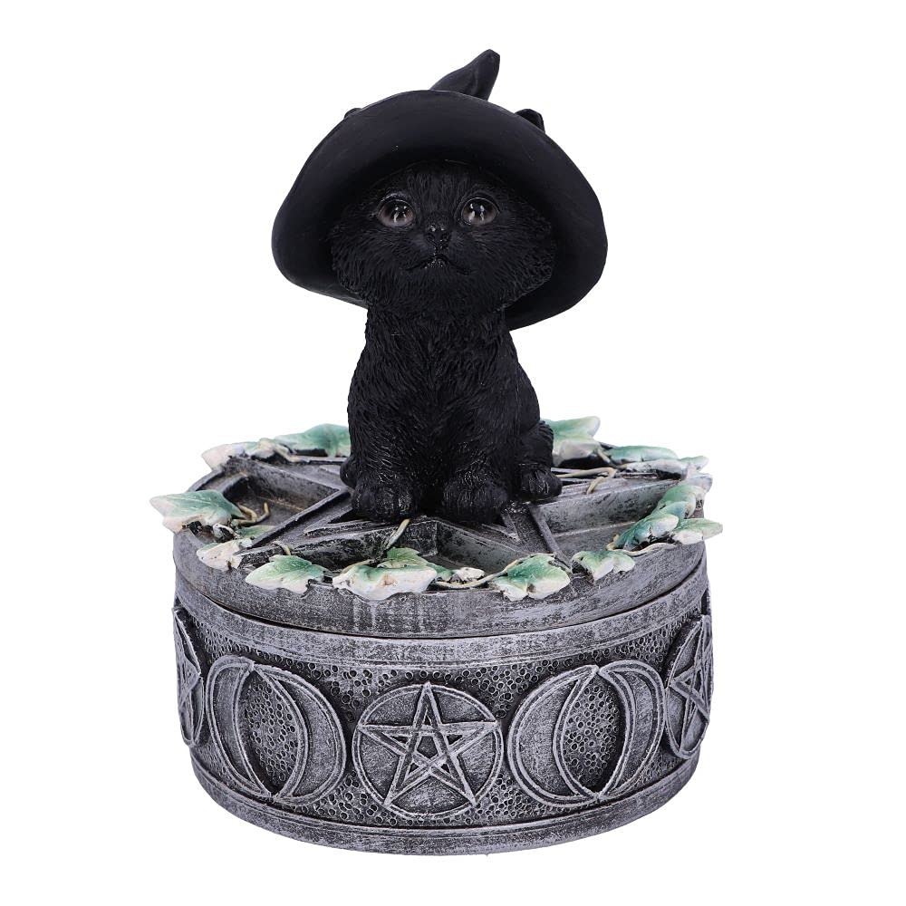 Ivy Familiar Box 15cm 2