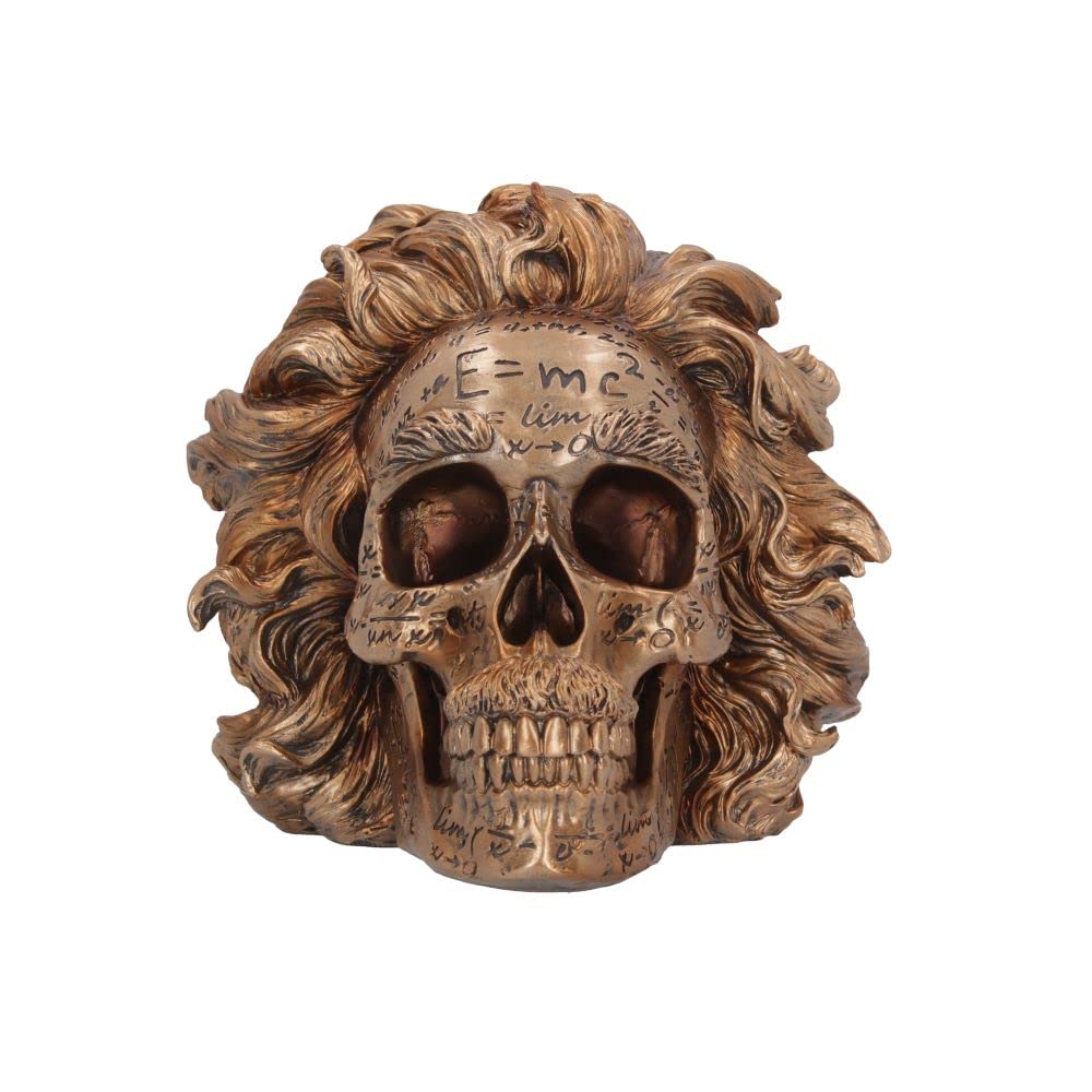 The Theory of Relativity Bronze Einstein Skull 21cm 3