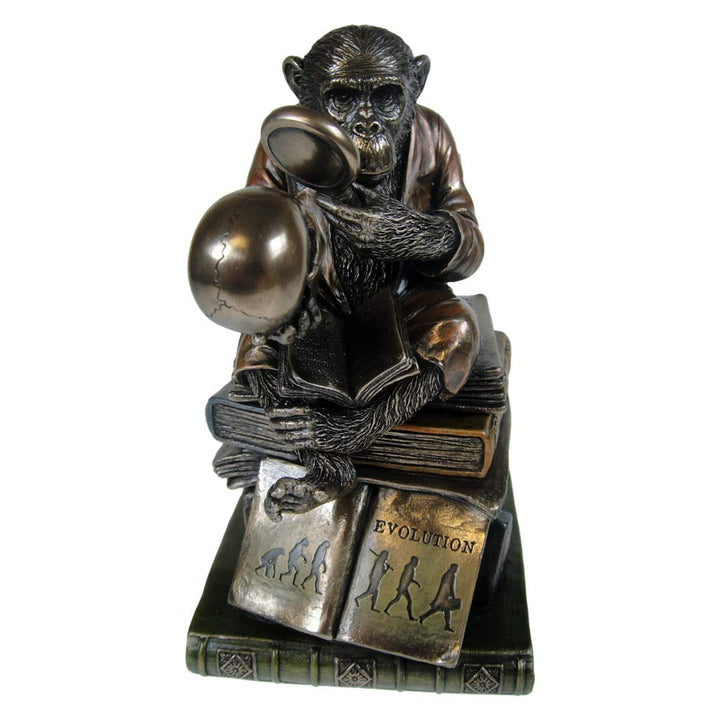 Darwinism of Evolutionary Theory Figurine Charles Darwin Chimpanzee Ornament 17.5cm