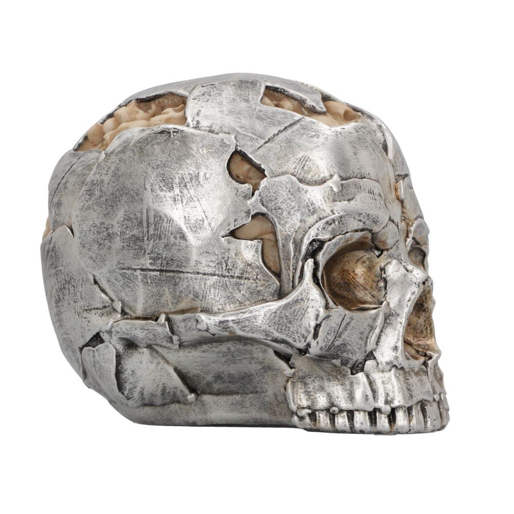 Large Alternative Fracture Skull 16cm 6