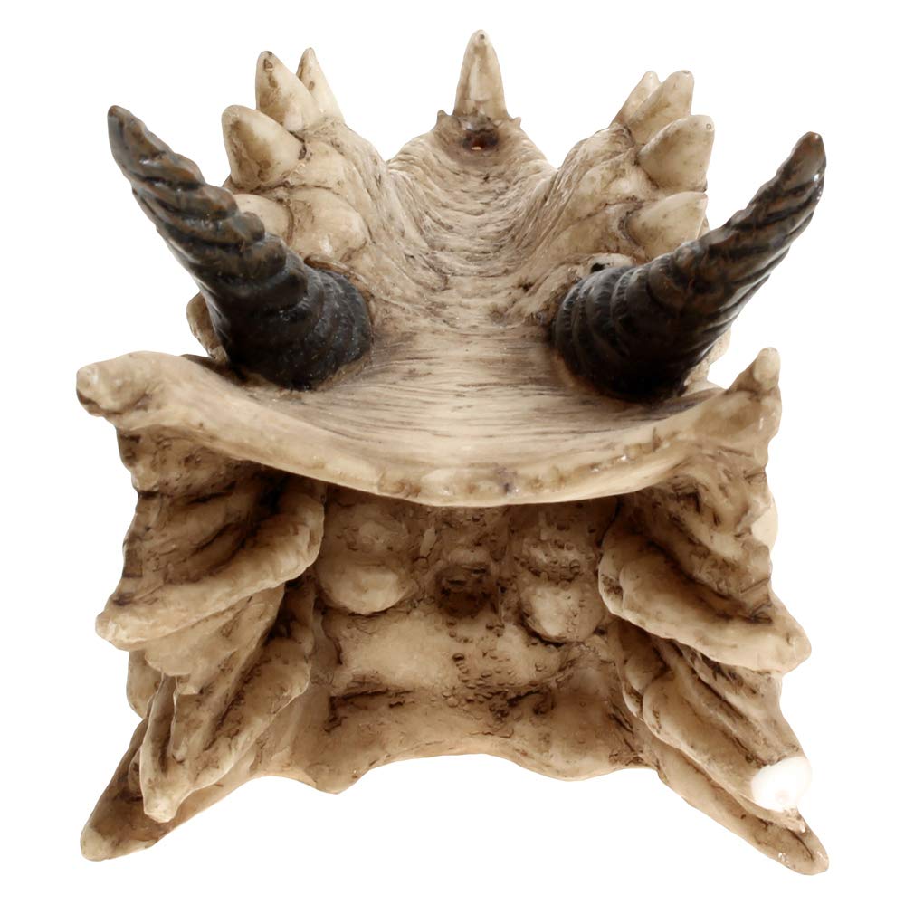 Draco Dragon Skull Incense Holder 24cm 5