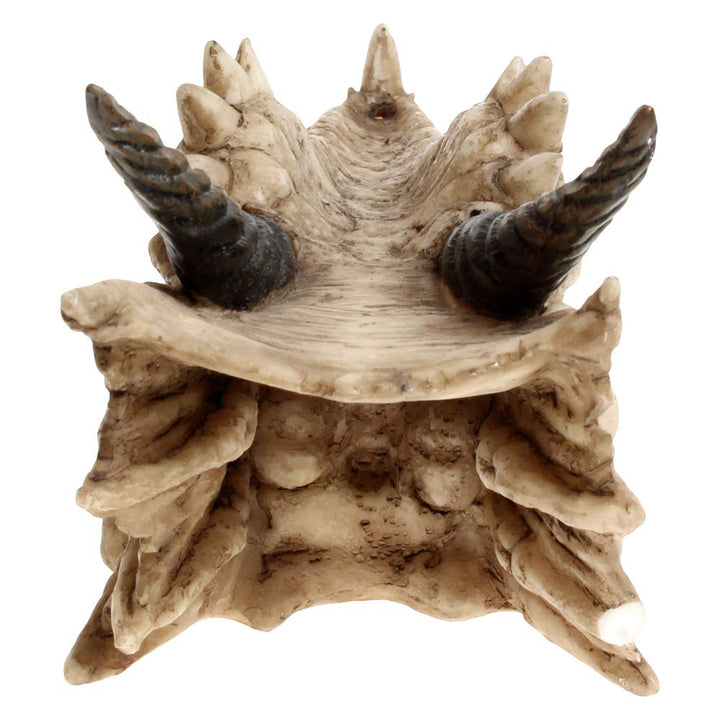 Draco Dragon Skull Incense Holder 24cm
