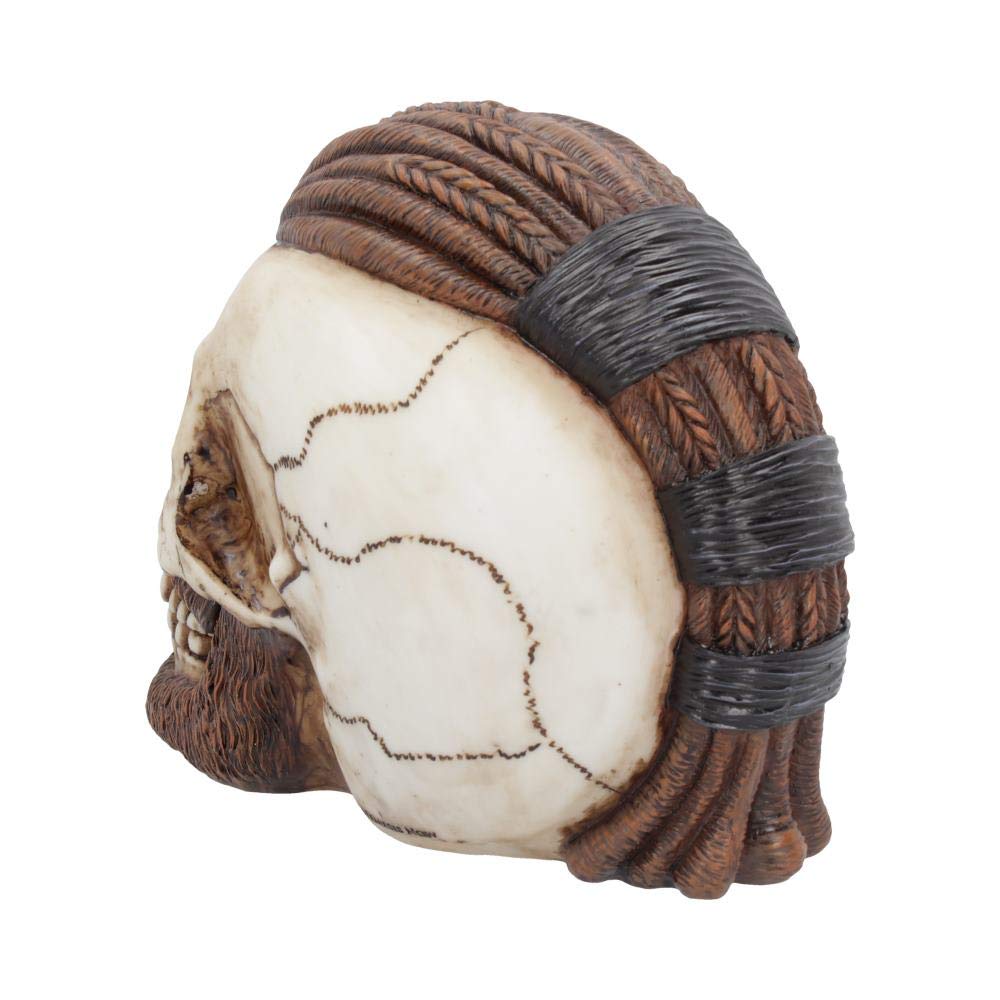 Ragnar Viking Skull Ornament 16cm Runic Compass 4