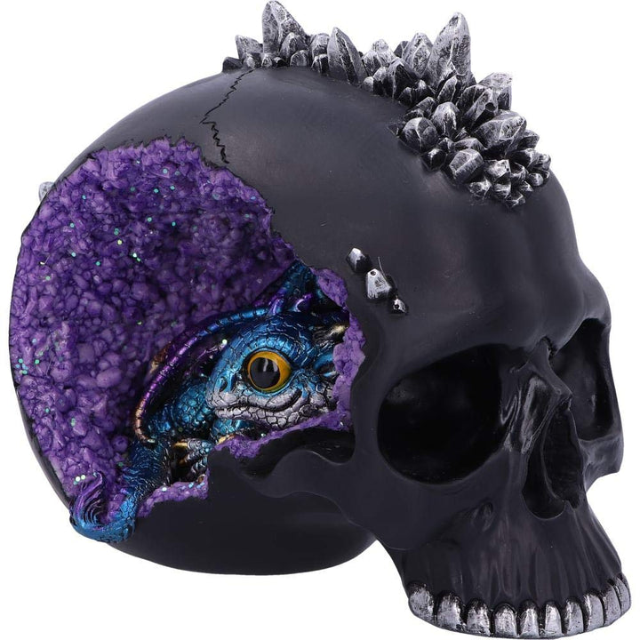 Crystal Cave Small Dragon Hiding within a Skull 16.5cm