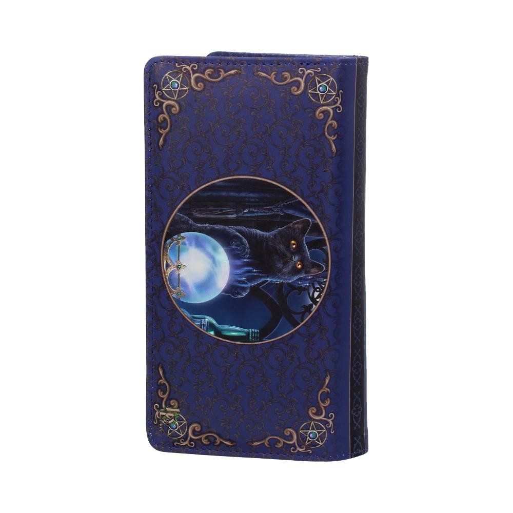 The Witches Apprentice Cat Crystal Ball Purse Embossed 18.5cm 6