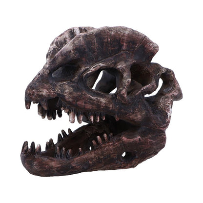 Dilophosaurus Skull Resin Replica 16cm 3