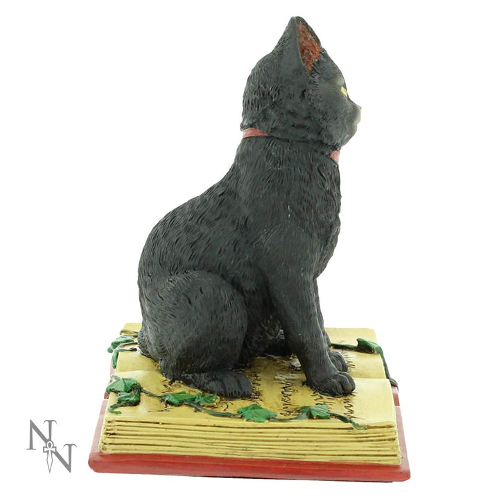 Eclipse Cat Spell Book Figurine Wiccan Witch Gothic Ornament 12cm
